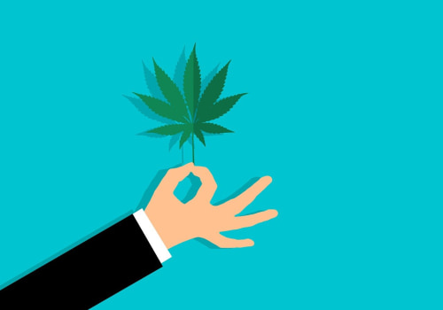 Exploring Cannabis Cultivation and Rehab Programs in Dallas, TX: A Path to Recovery